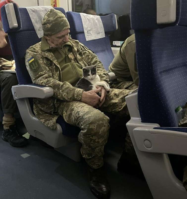 Все буде Україна