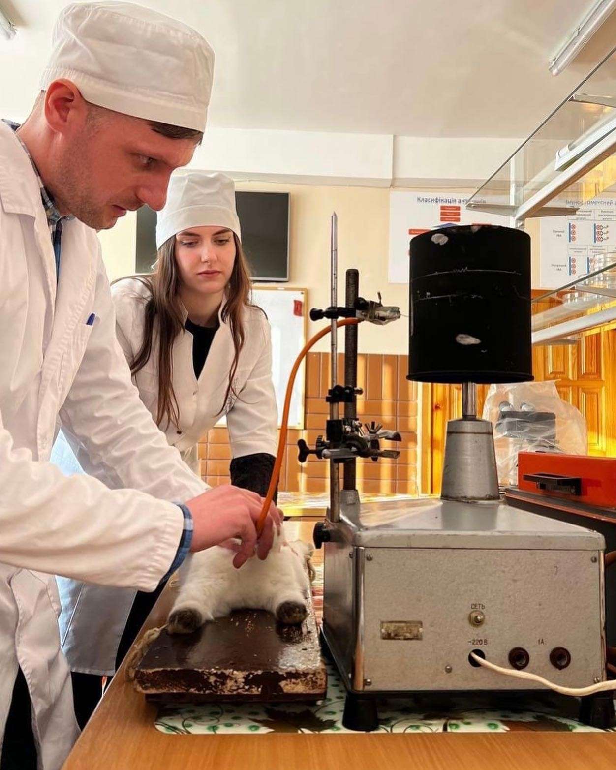 Все буде Україна