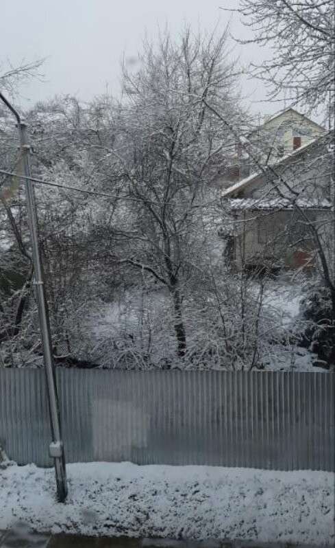 Все буде Україна