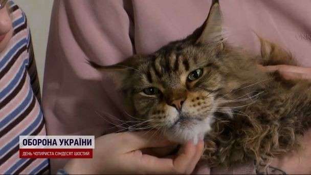 Все буде Україна