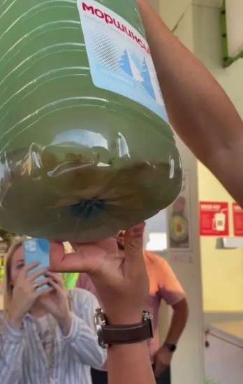 Все буде Україна