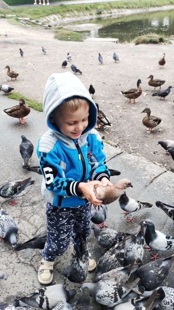 Все буде Україна