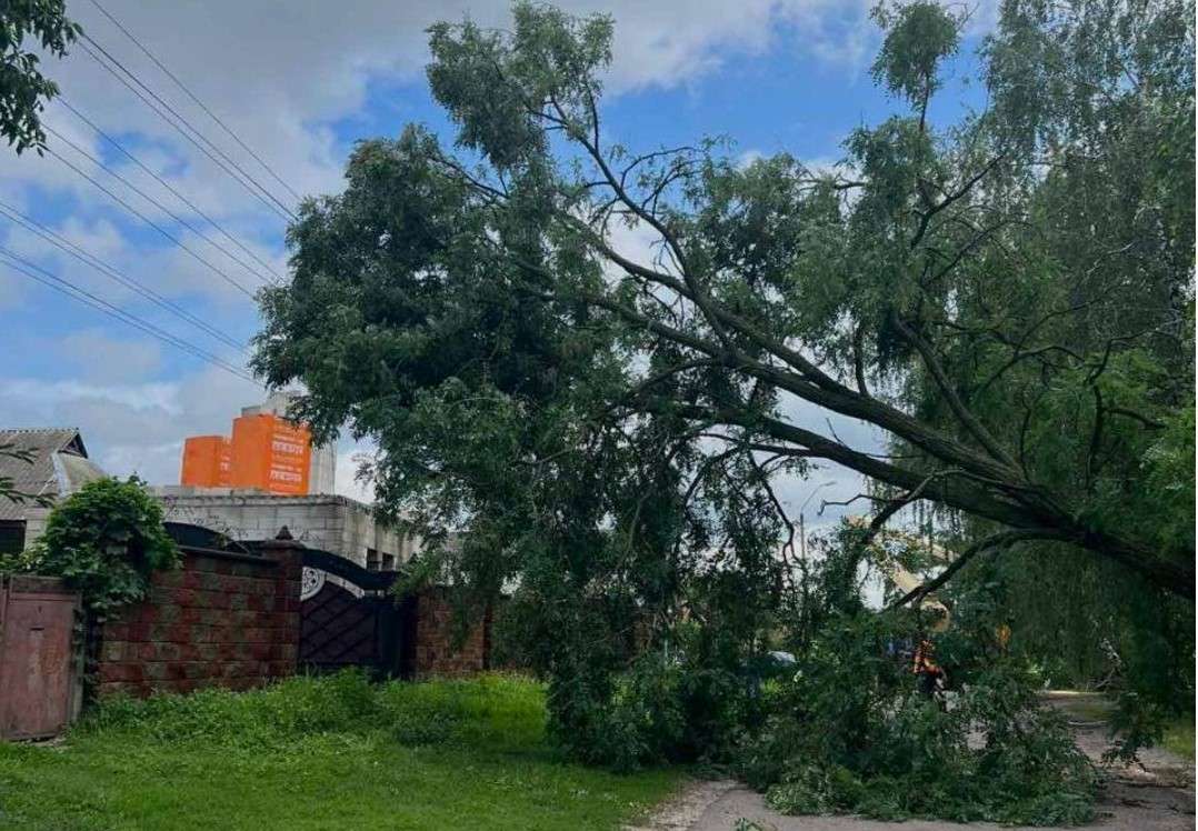 Все буде Україна