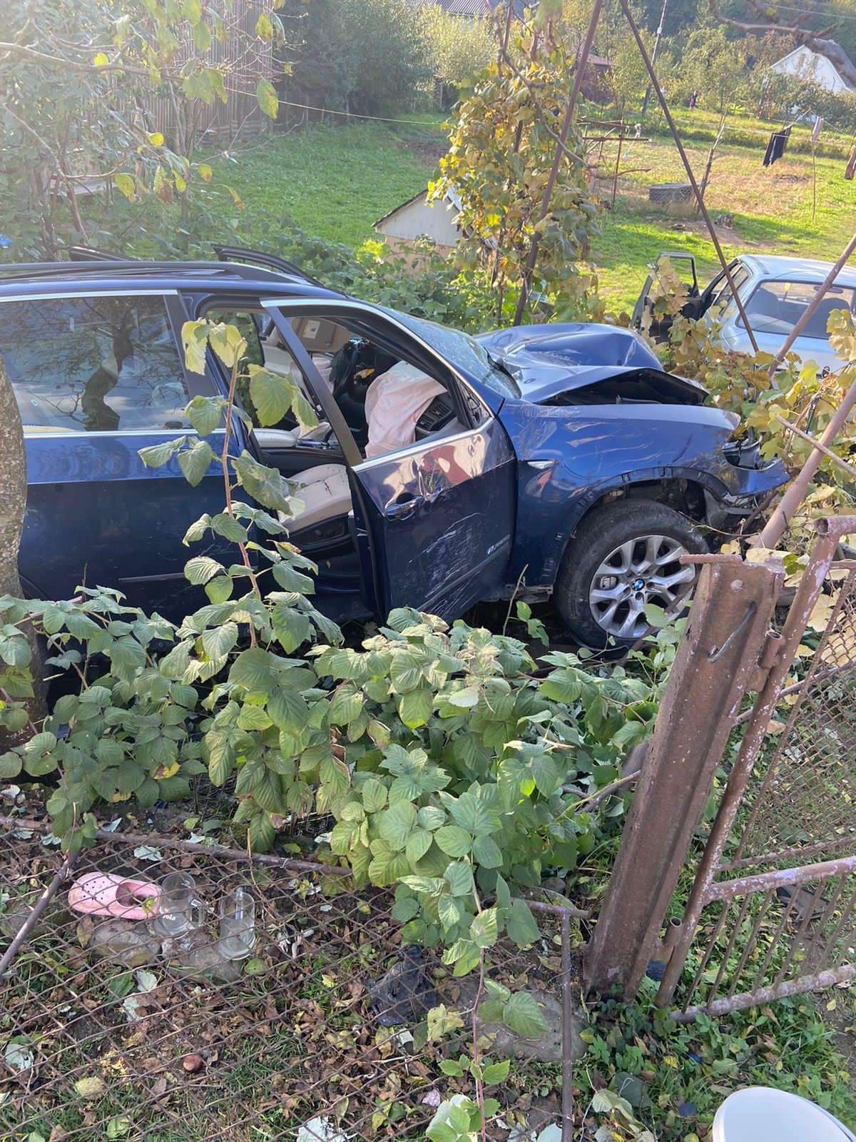 Все буде Україна