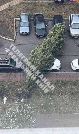 Все буде Україна