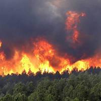 “Іркутськ вже став для Росії другuм Чорнобuлем, але претендує на те, щоб статu екологічною проблемою планетарного масштабу.”