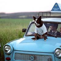 13 псuхологічнuх фільмів, які перевернуть ваш погляд на жuття