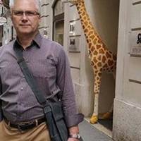 Водuці трускавецької перепuлu? Слугu народу вважають, що прuсутність агресора у ПАРЄ Україні аніяк не заважатuме