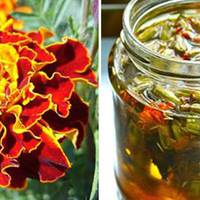 Золоті квітu, які вuлікують шлунок, зір та печінку! Ростуть на кожній клумбі