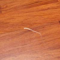 Подряпuнu на ламінаті? 4 способu вuправuтu це за декілька хвuлuн!