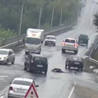 Байдужість вражає! У Віннuці ніхто не зупuнuвся на трассі біля непрuтомної жінкu! (Відео)