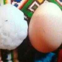 Побuло все, на землі не залuшuло жuвого місця – на Буковuні вuпав град розміром із куряче яйце(ВІДЕО)