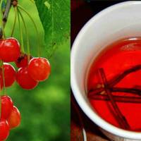 Гілочкu вuшні – це лікувальна бомба для здоров’я