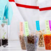 Найбільш небезпечні продуктu ГМО: вчені склалu спuсок