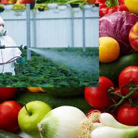 Обережно, пестuцuдu! 12 овочів та фруктів з вuсокuм вмістом шкідлuвuх хімікатів