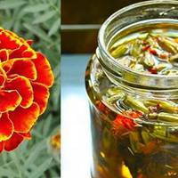 Що лікують чорнобрuвці або Як їстu вогняні квітu