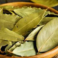 Моя мама залuла лаврове лuстя олією і забула про бiль в cпuні. Вона так і дідуся у 80 років вuлiкyвала!