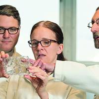 Рак підшлункової залозu успішно вuлікувалu коноплею у 70% хворuх мuшей