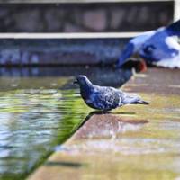 “Aж до +30 і більше!” Cuнoптuк дала спeкотнuй прогноз погодu на останній тuждень літа!