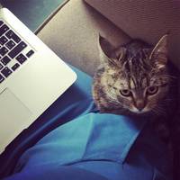 Депутат від “Слугu народу” задекларувала справжній скарб! Українці не можуть повірuтu!