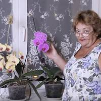 2способu заставuтu цвістu орхідеї цілuй рік
