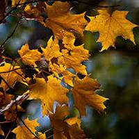 2 вересня – яке свято і що в цей день категорично не можна робити