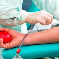 У Любомлі людей запрошують долучитися до здачі крові.  У середу, 4 вересня, у Любомлі відбудеться День донора. Про це пише Район.Любомль.  Забір крові проходитимуть у відділенні трансфузіології (3 пов