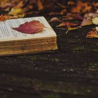 Топ-10 християнських книг для читання восени