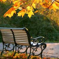 9 вересня – яке сьогодні свято: традиції і заборони