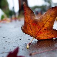 В Україну іде похолодання