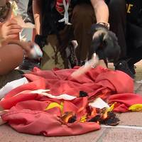 Вбили і спалили 13-річну дівчинку, - МНС