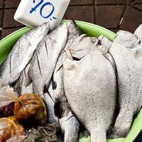 Ці 12 популярних видів риби краще не вживати