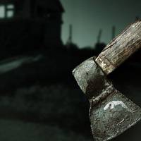 Двоє чоловіків вбили свого товариша по чарці сокирою