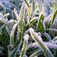 Наближається зима, заморозки до - 5°: синоптики прогнозують холод у найближчі дві ночі