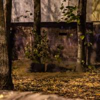 Біля житлового будинку знайшли труп чоловіка