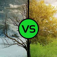 Синоптик розповіла, якою буде зима в Україні