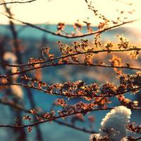 У листопаді в Україну повернеться тепло