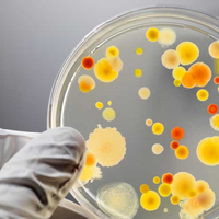 Ціла родина захворіла на сальмонельоз через домашні яйця