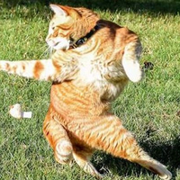 Синоптик потішила прогнозом на початок тижня