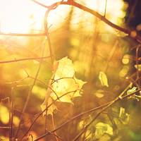 Неочікувані прогнози погоди на вихідні в Україні