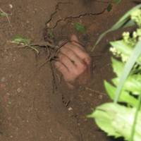 Катували та закопали живцем чоловіка на териконі