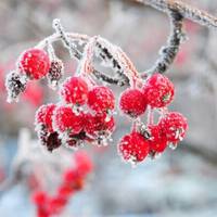 Вітер і мороз: синоптик попереджає про різке похолодання в Україні