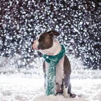 «Без шапок не ходіть»: синоптик оприлюднила прогноз на першу п’ятницю зими