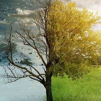 З наступного тижня в Україні різко зміниться погода, – синоптик