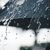 Чекайте дощів і похолодання: прогноз погоди на наступний тиждень