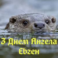 26 грудня - День ангела Євгена