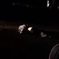 У селі під Луцьком жінку переїхали 3 автомобілі