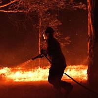 Пожежі в Австралії замкнулися в зачароване коло: вогонь від блискавок і блискавки від вогню.