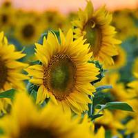 Литва вмикає українське ТБ. Замість російського