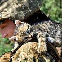 Українські військові показали своїх котиків (супер підбірка фото)